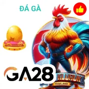 aeae888 Game 08
